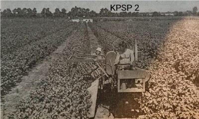 KPSP-2