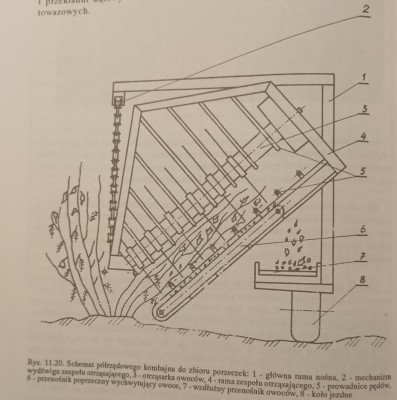 Schemat przyrządu otrząsającego kombajnu połówkowego