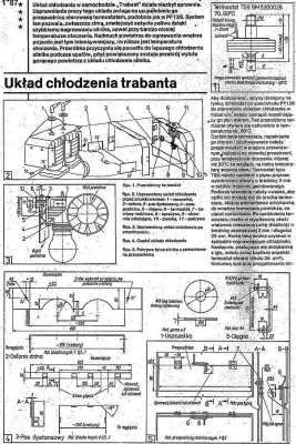 termostat 1/2